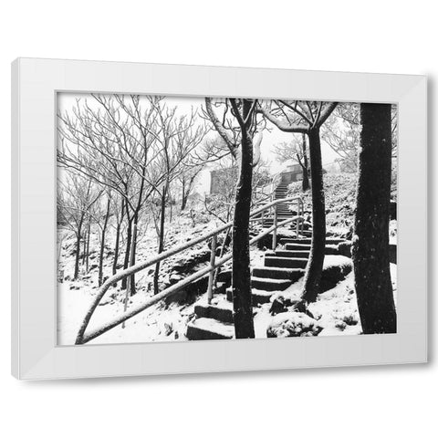 Jerome Snowy Stairs II BandW White Modern Wood Framed Art Print by Popcorn