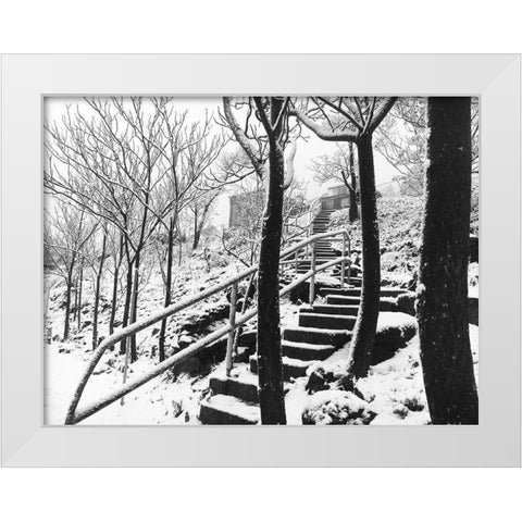 Jerome Snowy Stairs II BandW White Modern Wood Framed Art Print by Popcorn