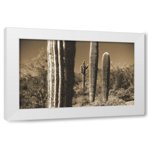 Desert Scape 13 White Modern Wood Framed Art Print by Popcorn