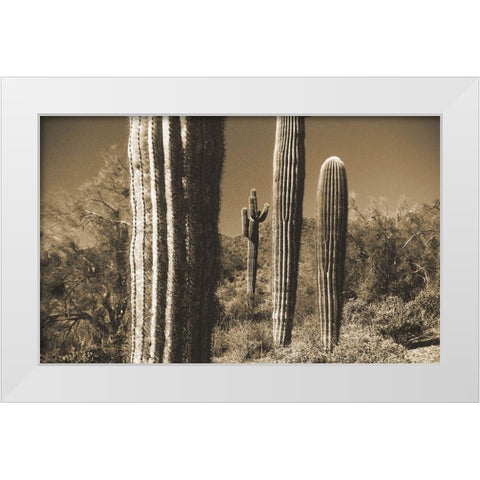 Desert Scape 13 White Modern Wood Framed Art Print by Popcorn