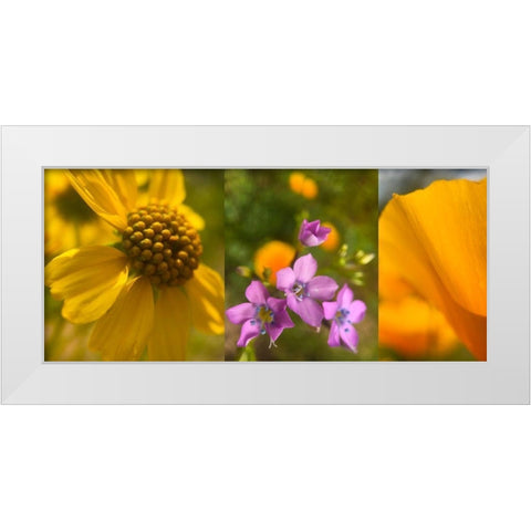 Wildflower Collage VII White Modern Wood Framed Art Print by Popcorn