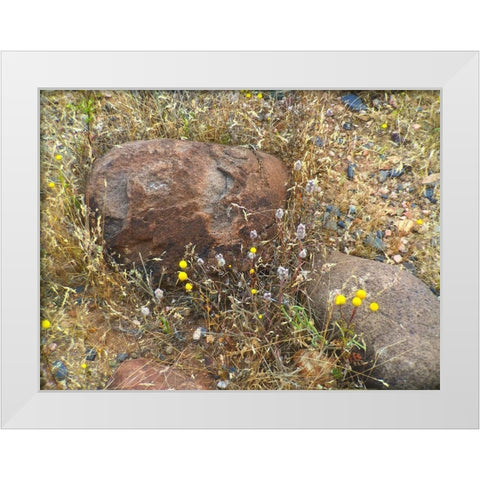 Sedimentations: Where The Chamomile Grows White Modern Wood Framed Art Print by Popcorn