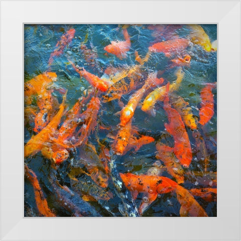 Koi Pond I White Modern Wood Framed Art Print by Tenoever, William
