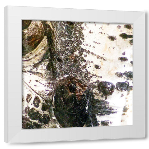 Aspens In The Fall 3 White Modern Wood Framed Art Print by Tenoever, William
