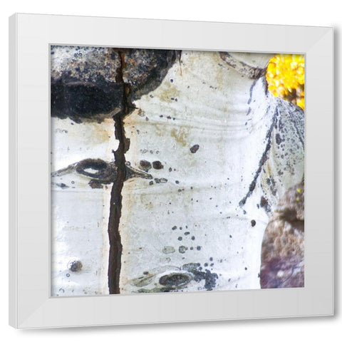 Aspens In The Fall 5 White Modern Wood Framed Art Print by Tenoever, William