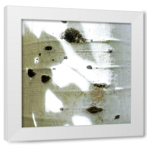 Aspens In The Fall 6 White Modern Wood Framed Art Print by Tenoever, William