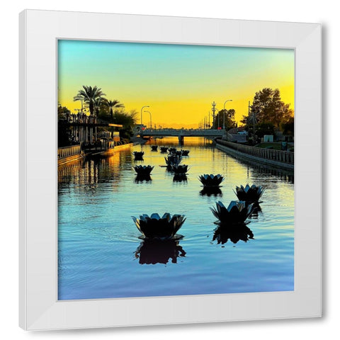 Scottsdale:FloatusBlossoms White Modern Wood Framed Art Print by Tenoever, William