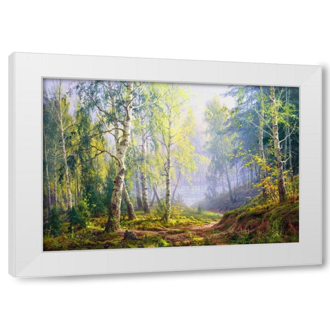 Morning at the birch forest White Modern Wood Framed Art Print by Basov, Sergej