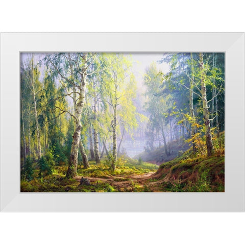 Morning at the birch forest White Modern Wood Framed Art Print by Basov, Sergej