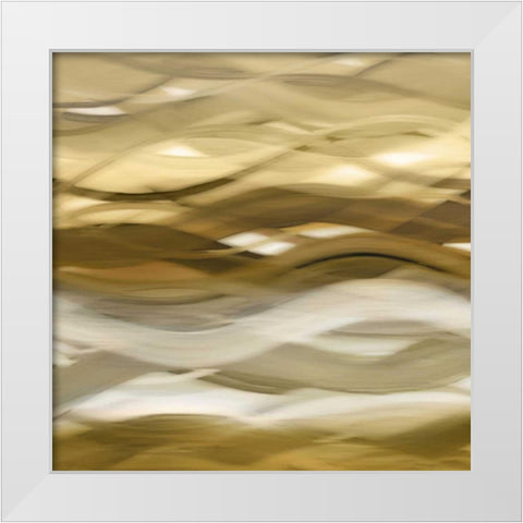Splendid II White Modern Wood Framed Art Print by Campbell, Annie