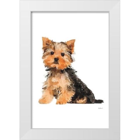 Yorkie White Modern Wood Framed Art Print by Greenwood, Amanda