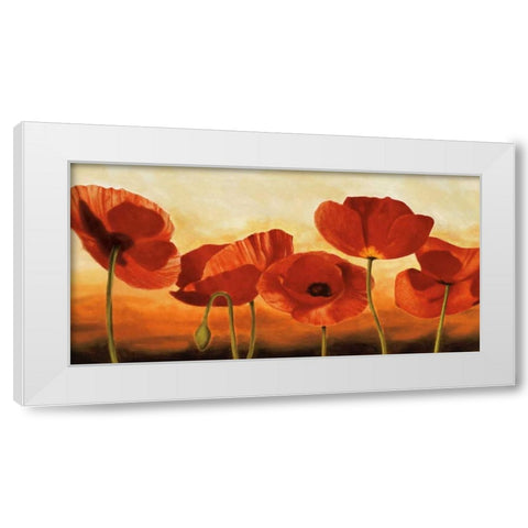 In the Sun White Modern Wood Framed Art Print by Kahn, Andrea