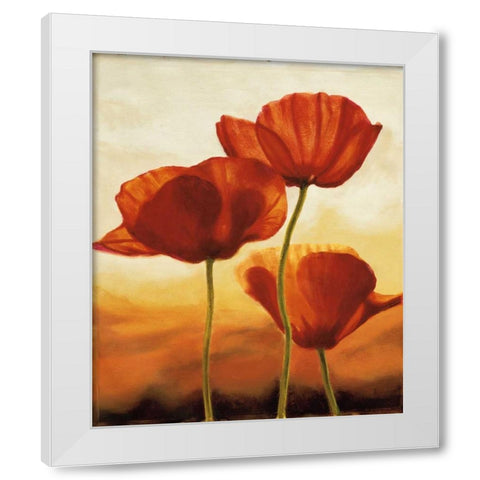 Poppies in Sunlight I White Modern Wood Framed Art Print by Kahn, Andrea