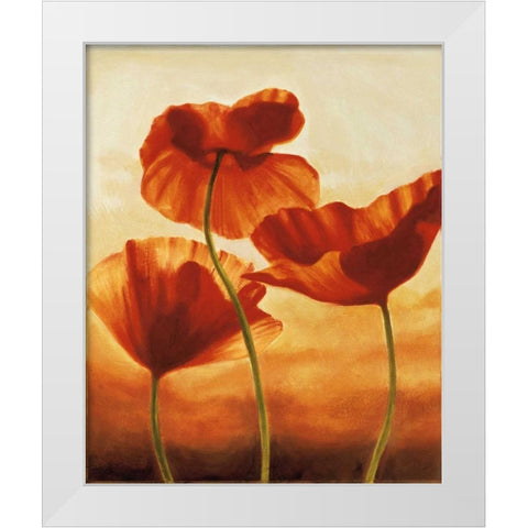 Poppies in Sunlight II White Modern Wood Framed Art Print by Kahn, Andrea