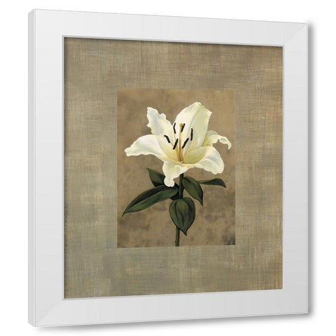Lily White Modern Wood Framed Art Print by Trivelli, Andrea
