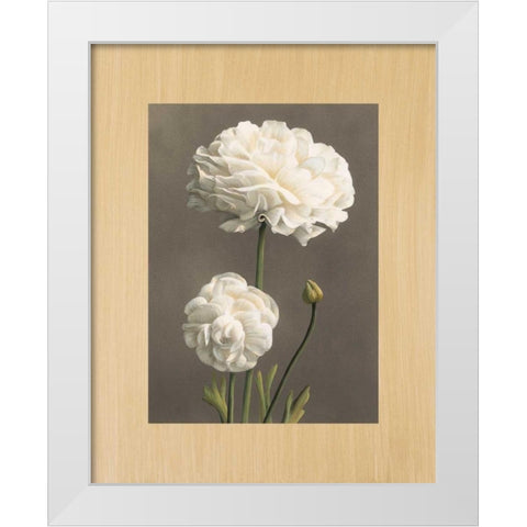 Dalie White Modern Wood Framed Art Print by Trivelli, Andrea