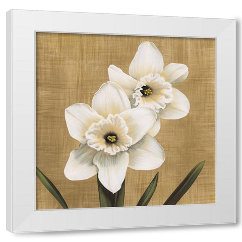 Narcisi White Modern Wood Framed Art Print by Trivelli, Andrea