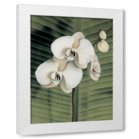 Orchid with Palm II White Modern Wood Framed Art Print by Trivelli, Andrea