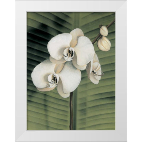 Orchid with Palm II White Modern Wood Framed Art Print by Trivelli, Andrea