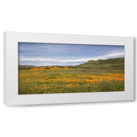 Spring Vista with Wildflowers White Modern Wood Framed Art Print by Markoff, Barbara