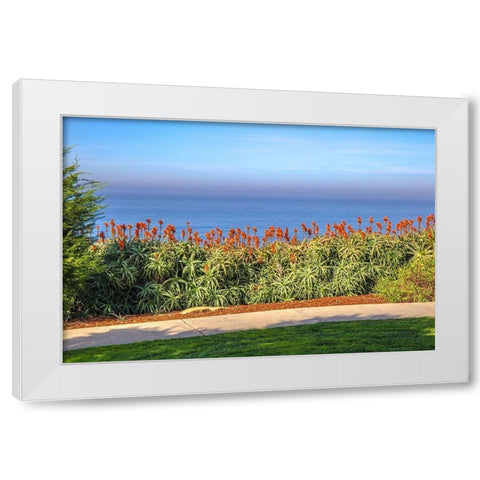 Walkway with Red Aloe White Modern Wood Framed Art Print by Markoff, Barbara