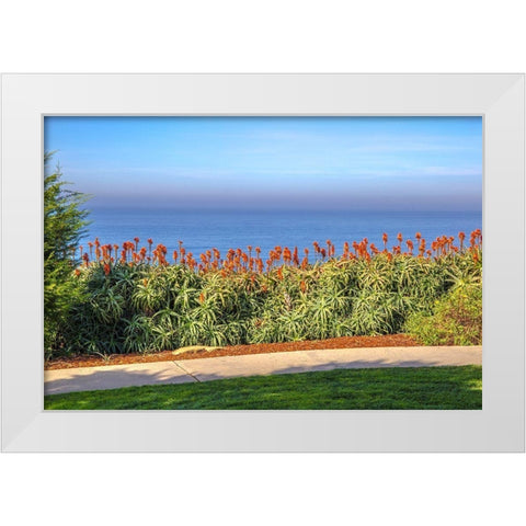 Walkway with Red Aloe White Modern Wood Framed Art Print by Markoff, Barbara