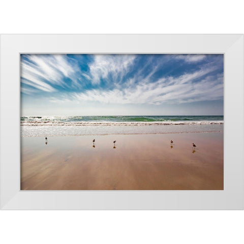 Birds on Beach, Del Mar White Modern Wood Framed Art Print by Markoff, Barbara