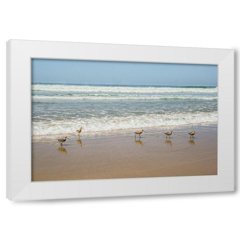 Birds at La Jolla Shores White Modern Wood Framed Art Print by Markoff, Barbara
