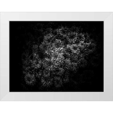 Black And White Mum Bouquet White Modern Wood Framed Art Print by Carson, Brian