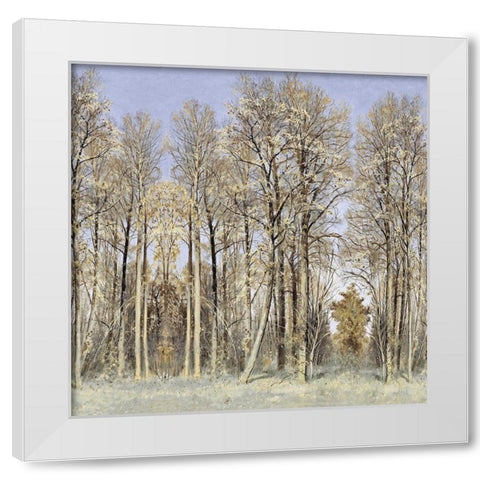 Entrance to the Woods White Modern Wood Framed Art Print by McKee, Christy