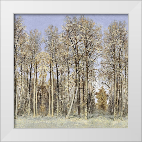 Entrance to the Woods White Modern Wood Framed Art Print by McKee, Christy