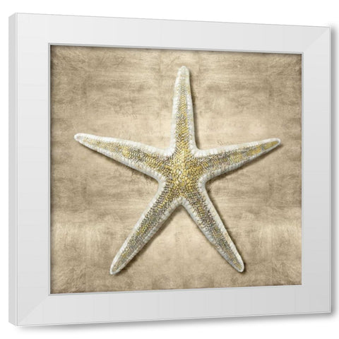 Golden Sea Life I White Modern Wood Framed Art Print by Kelly, Caroline