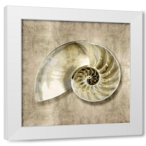 Golden Sea Life IV White Modern Wood Framed Art Print by Kelly, Caroline