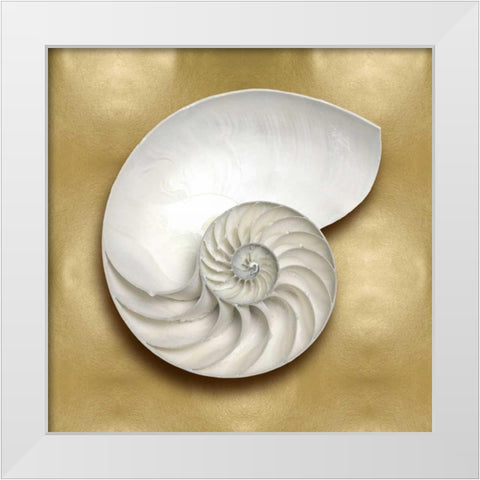 Ocean Gem on Gold II White Modern Wood Framed Art Print by Kelly, Caroline