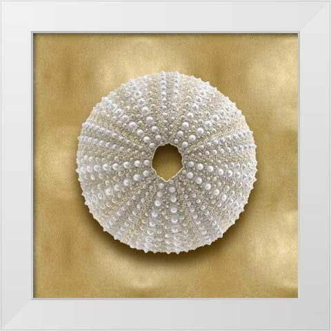 Ocean Gem on Gold V White Modern Wood Framed Art Print by Kelly, Caroline