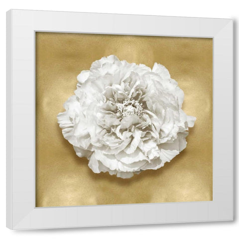 Pure II White Modern Wood Framed Art Print by Kelly, Caroline