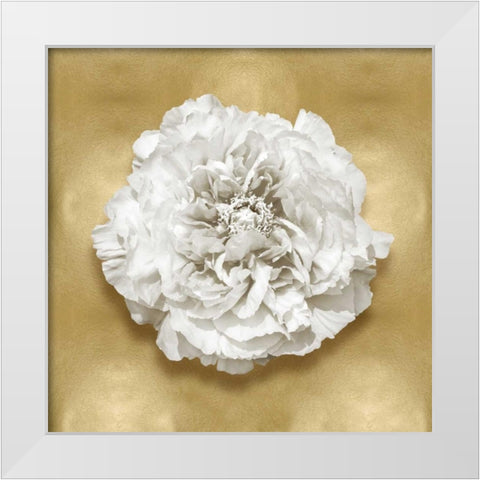 Pure II White Modern Wood Framed Art Print by Kelly, Caroline