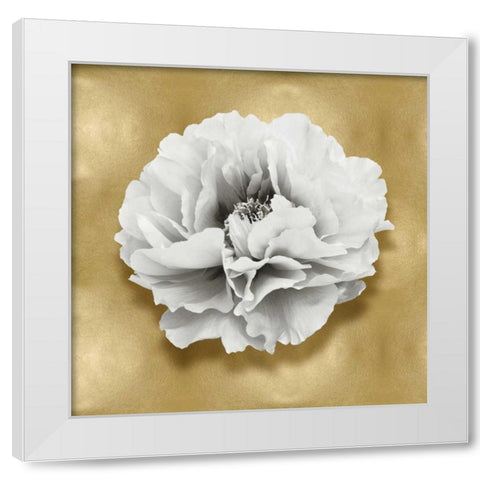Pure III White Modern Wood Framed Art Print by Kelly, Caroline