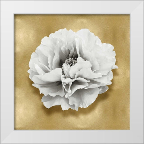 Pure III White Modern Wood Framed Art Print by Kelly, Caroline
