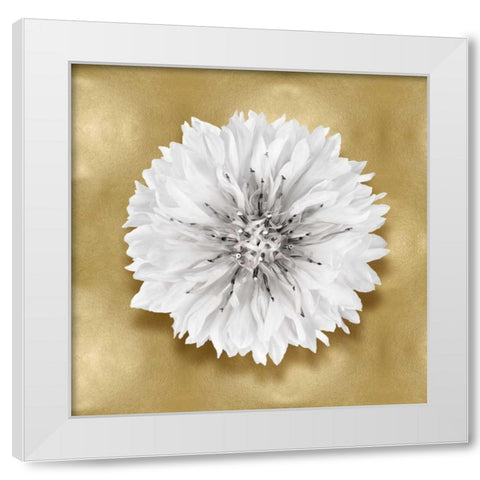 Pure IV White Modern Wood Framed Art Print by Kelly, Caroline