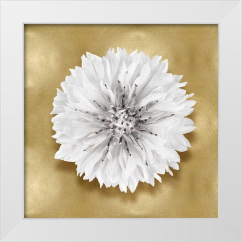 Pure IV White Modern Wood Framed Art Print by Kelly, Caroline