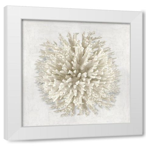 Coral I White Modern Wood Framed Art Print by Kelly, Caroline