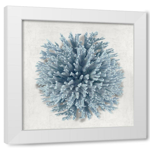 Coral Blue I White Modern Wood Framed Art Print by Kelly, Caroline