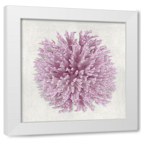 Coral Blush I White Modern Wood Framed Art Print by Kelly, Caroline