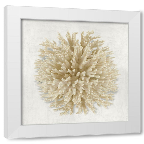 Coral Cream I White Modern Wood Framed Art Print by Kelly, Caroline