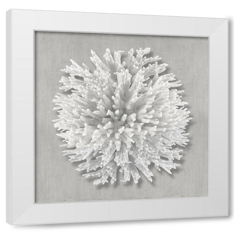 Coral on Gray I White Modern Wood Framed Art Print by Kelly, Caroline