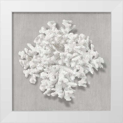 Coral on Gray II White Modern Wood Framed Art Print by Kelly, Caroline