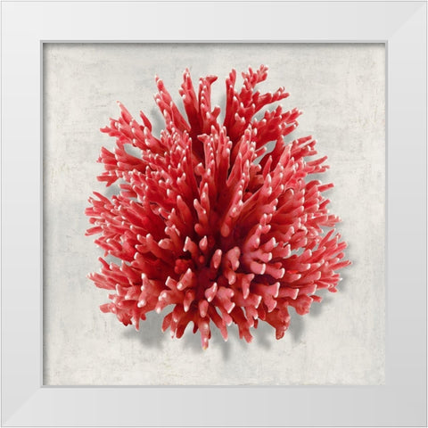 Coral Red I White Modern Wood Framed Art Print by Kelly, Caroline