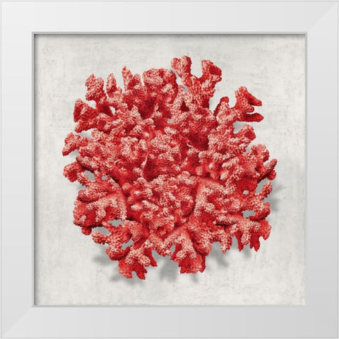 Coral Red II White Modern Wood Framed Art Print by Kelly, Caroline