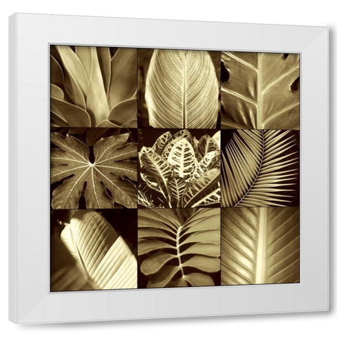 Tropical Leaves II White Modern Wood Framed Art Print by Kelly, Caroline